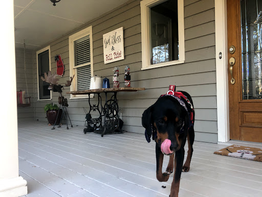 Pet Supply Store «PetSmart», reviews and photos, 6370 North Point Pkwy, Alpharetta, GA 30022, USA