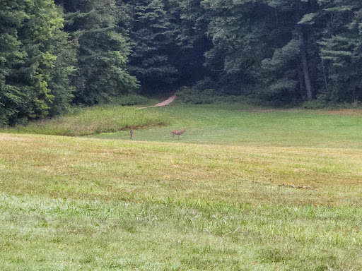 National Park «Cuyahoga Valley National Park», reviews and photos