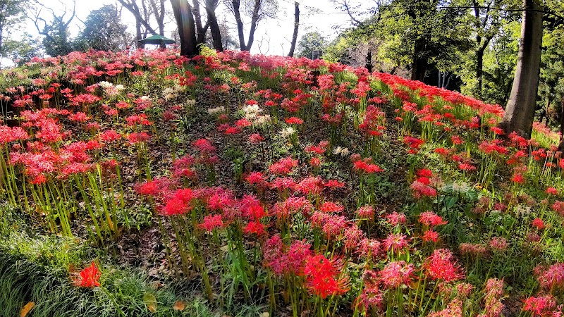 離山公園