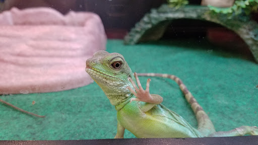 Pet Supply Store «Pet Supplies Plus», reviews and photos, 1810 Declaration Dr, Independence, KY 41051, USA