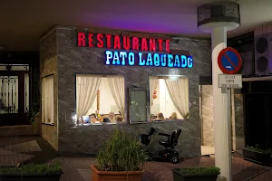 Pato Laqueado image