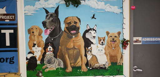 Animal Shelter «KC Pet Project - Main Adoption Center», reviews and photos