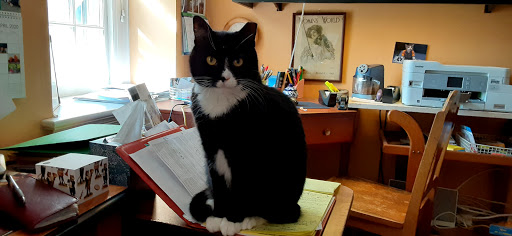 Computer Repair Service «G Tech Computer», reviews and photos, 7300 Old York Rd, Elkins Park, PA 19027, USA