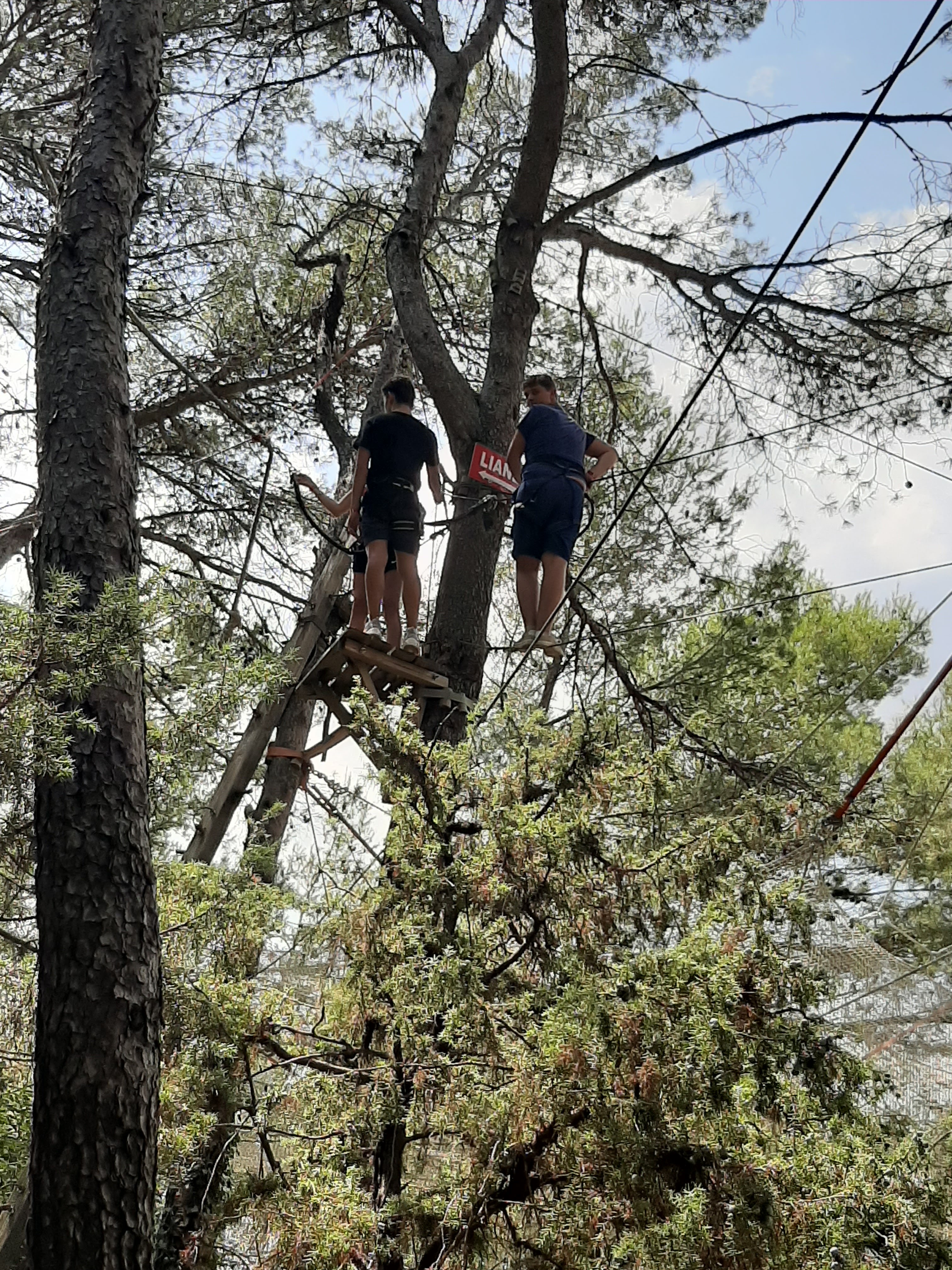 Photo n° 1 de l'avis de véronique.e fait le 23/07/2020 à 15:17