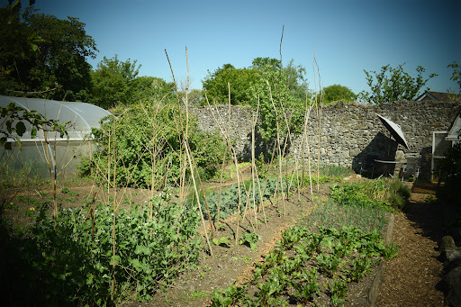 Birr Community Growery