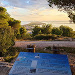 Photo n° 16 de l'avis de Thierry.. fait le 07/09/2020 à 19:11 pour Forêt des Pierres Blanches à Sète