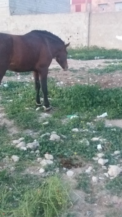 Photos of Complex Sportif de Oued Zem