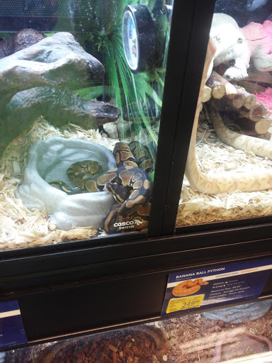 Pet Supply Store «PetSmart», reviews and photos, 290 Town Center Pkwy, Slidell, LA 70458, USA