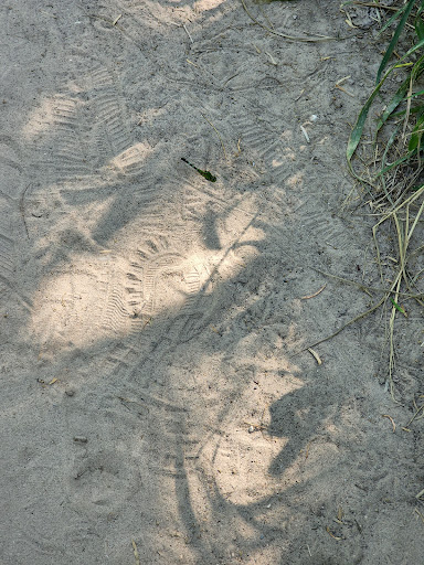 Park «Hugh Ramsey Nature Park», reviews and photos, 1000 TX-499 Loop, Harlingen, TX 78550, USA