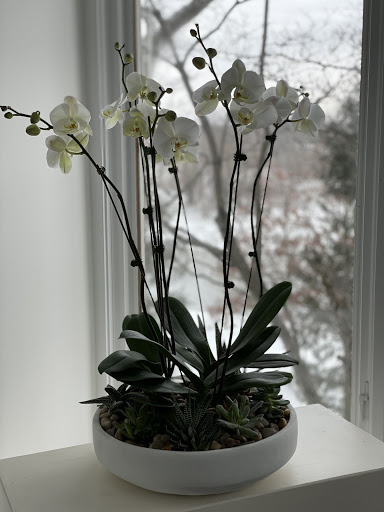 Florist «Back to the Fuchsia - A Flower Shop», reviews and photos, 439 Butler St, Saugatuck, MI 49453, USA