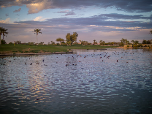 Golf Resort «Palm Valley Golf Club», reviews and photos, 2211 N Litchfield Rd, Goodyear, AZ 85395, USA