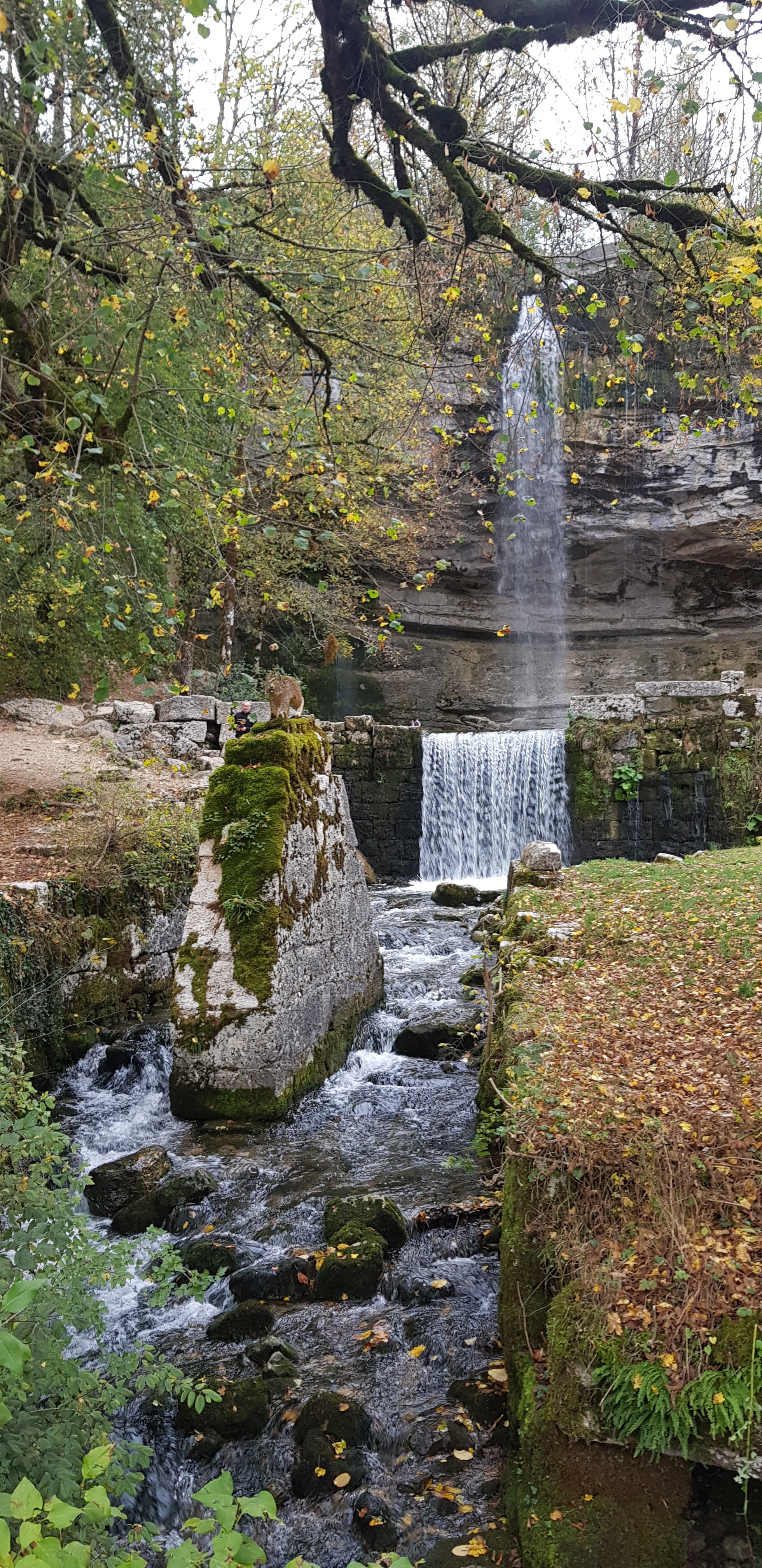 Photo n° 1 de l'avis de Antoine.o fait le 27/10/2019 à 15:14