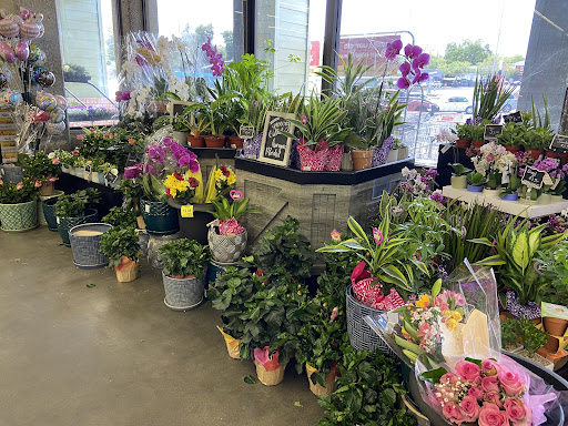 Grocery Store «Grocery Outlet Bargain Market», reviews and photos, 414 Grass Valley Hwy, Auburn, CA 95603, USA