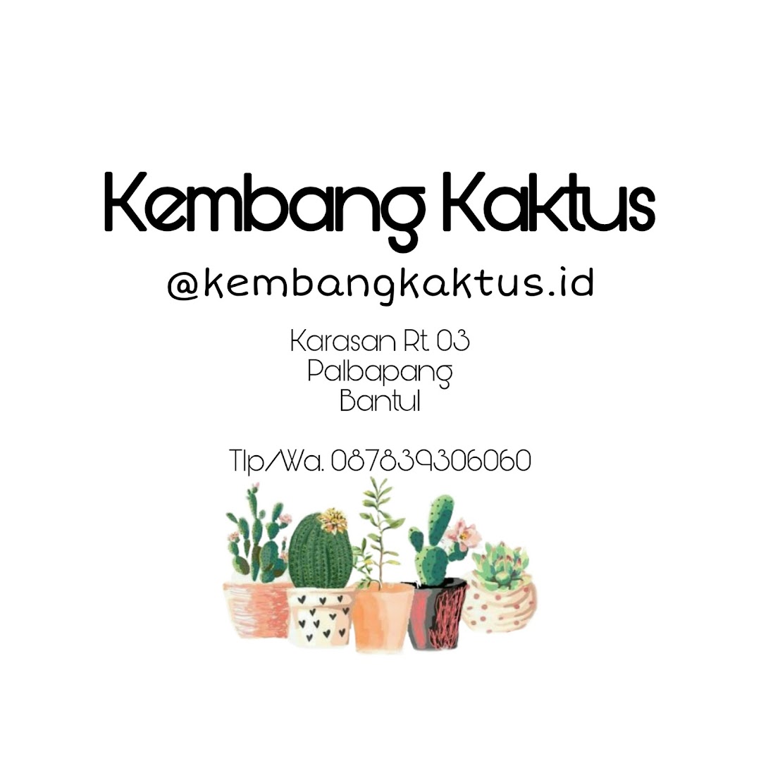 Kembang Kaktus