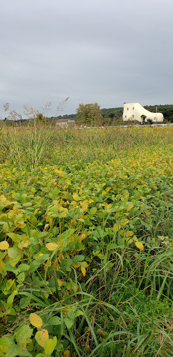 Tourist Attraction «The Haines Shoe House», reviews and photos, 197 Shoe House Rd, York, PA 17406, USA