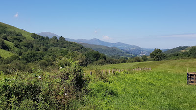 Jean-Luc CHRISOSTOME Loisirs Pays Basque à Mendionde