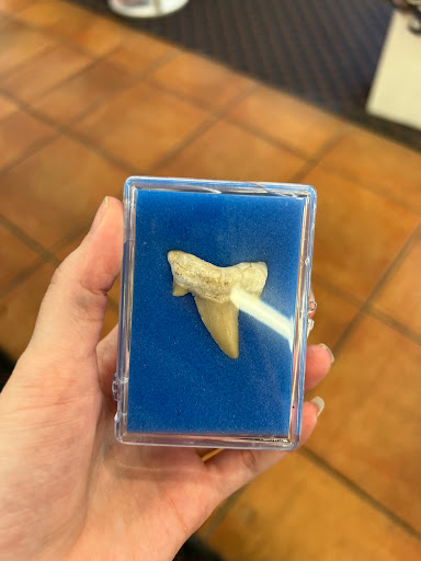 Gift Shop «Magic Castle Gift Kingdom», reviews and photos, 7646 W Irlo Bronson Memorial Hwy, Kissimmee, FL 34747, USA