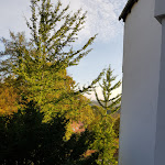 Photo n°7 de l'avis de Carmen.c fait le 09/11/2019 à 20:27 sur le  Hotel Haus Hainstein à Eisenach