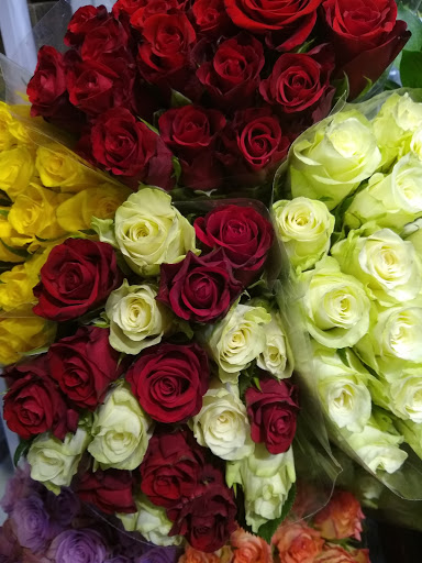 Grocery Store «Whole Foods Market», reviews and photos, 413 Centre St, Jamaica Plain, MA 02130, USA