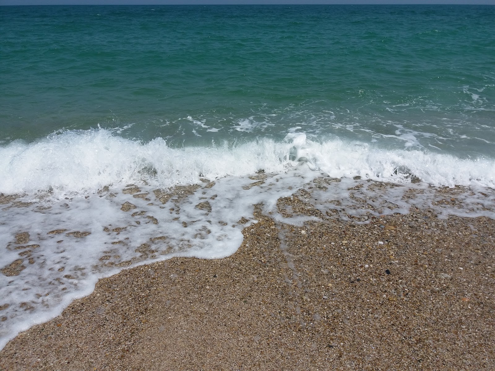 Foto de Karaburun beach área selvagem
