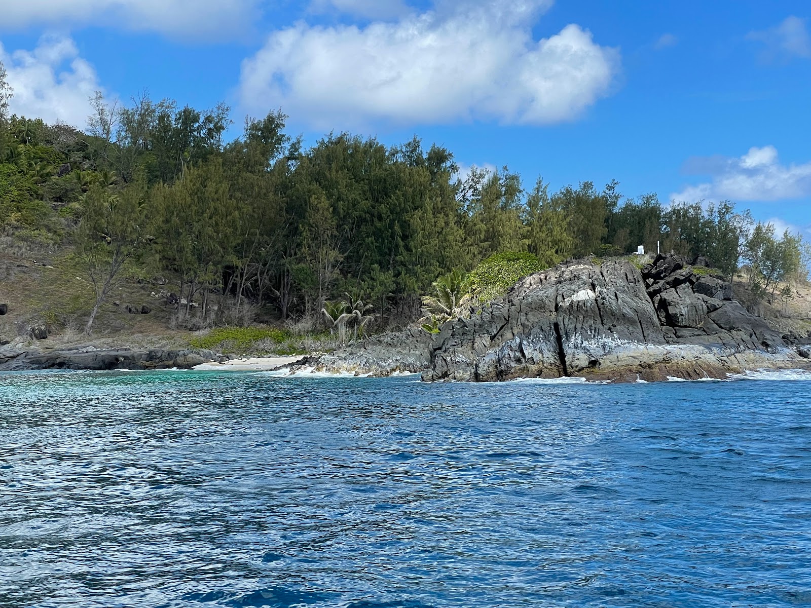 Anse Simetiere Beach'in fotoğrafı çok temiz temizlik seviyesi ile