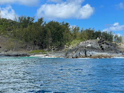 Anse Simetiere Beach'in fotoğrafı çok temiz temizlik seviyesi ile
