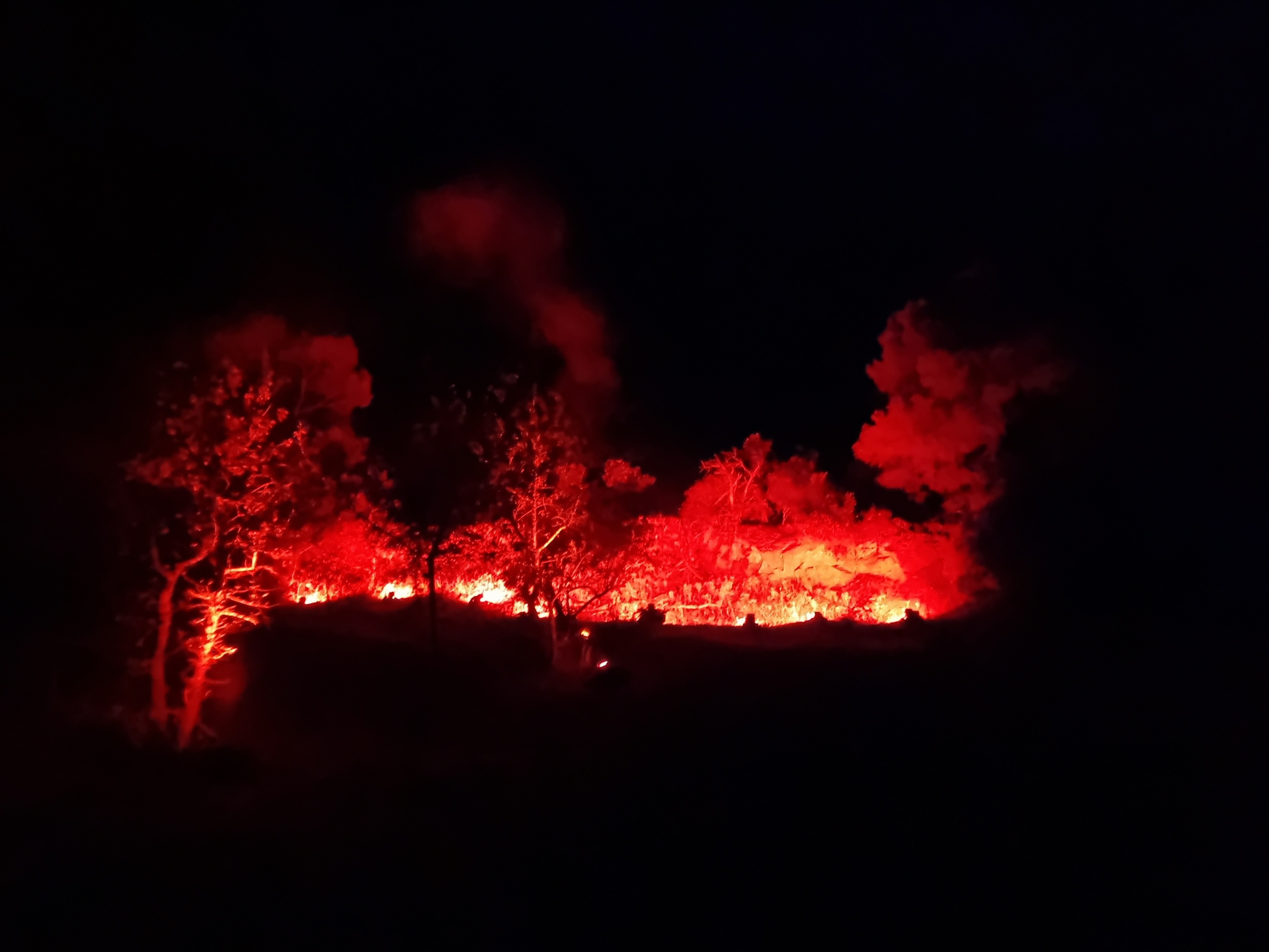 Photo n° 13 de l'avis de Fifi.i fait le 10/09/2023 à 21:59