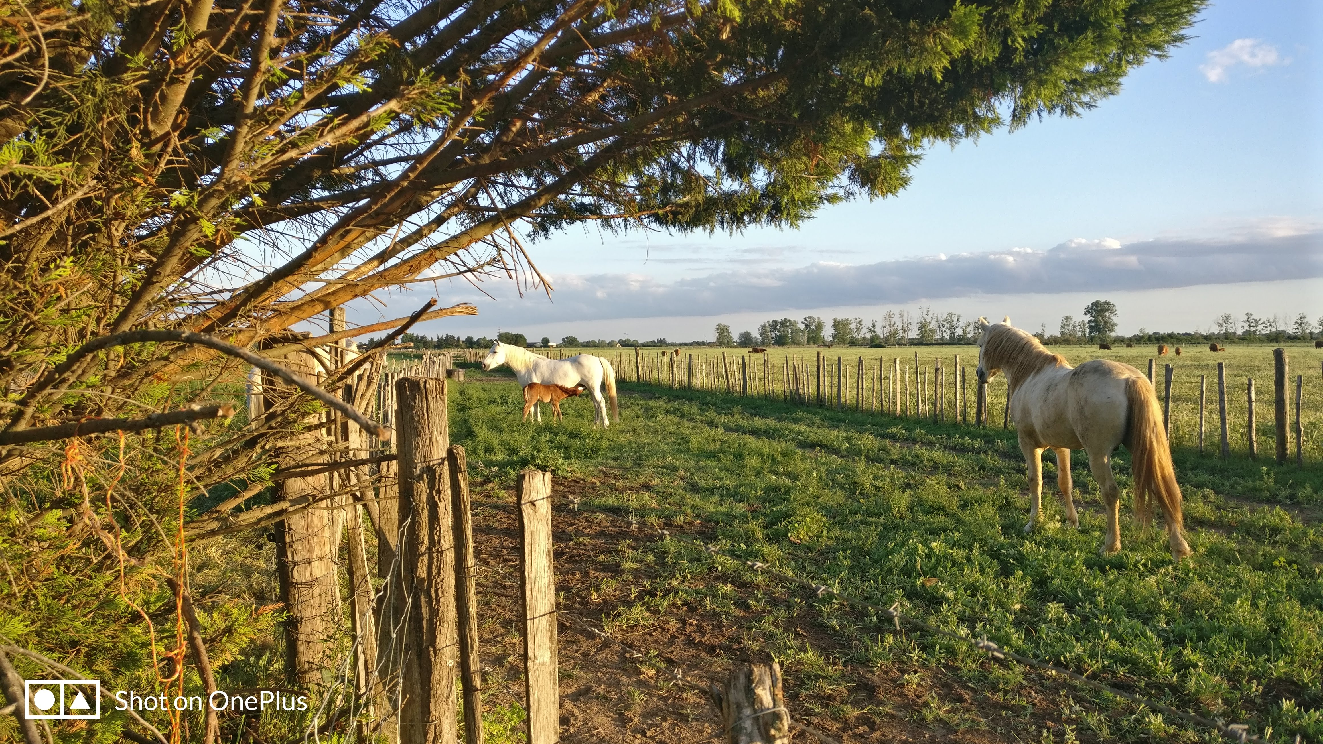 Photo n° 3 de l'avis de Michael.U fait le 11/05/2018 à 18:02