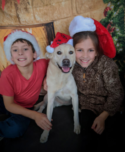 Pet Groomer «A Klassy Lassie, LLC», reviews and photos, 30 Old Jackson Rd, McDonough, GA 30252, USA