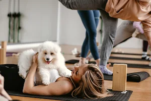 Paw Yoga - Puppy Yoga Warszawa, Joga ze szczeniaczkami image