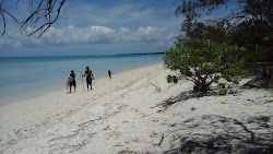 Foto von Ouvea Island Beach und die siedlung