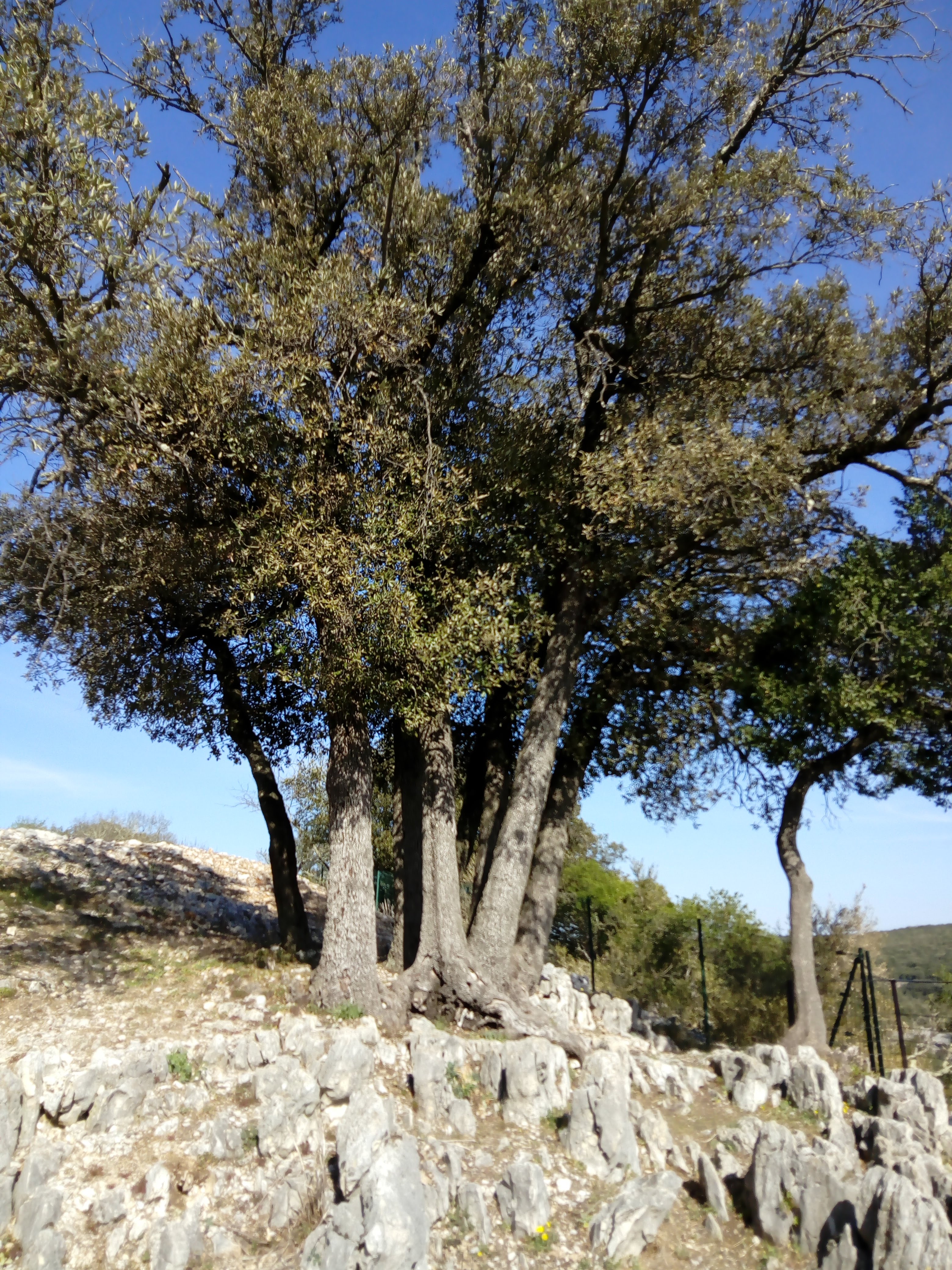 Photo n° 6 de l'avis de ariane.e fait le 04/04/2019 à 09:17
