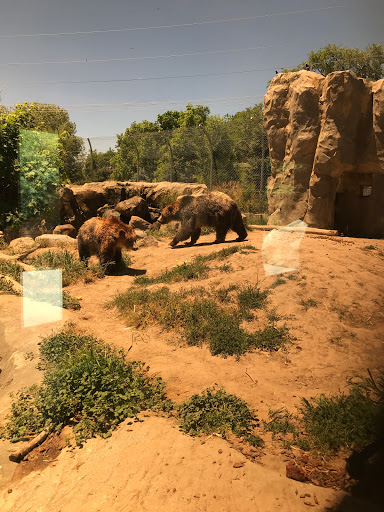 Zoo «Hogle Zoo», reviews and photos, 2600 Sunnyside Ave S, Salt Lake City, UT 84108, USA