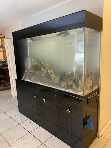 Tropical Fish Store «Hooked On Reefs», reviews and photos, 228 Hibiscus St #1, Jupiter, FL 33458, USA