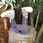 Photo n°4 de l'avis de Alessio.e fait le 16/08/2019 à 22:20 sur le  L'Orto Del Casale - à Casal Thaulero