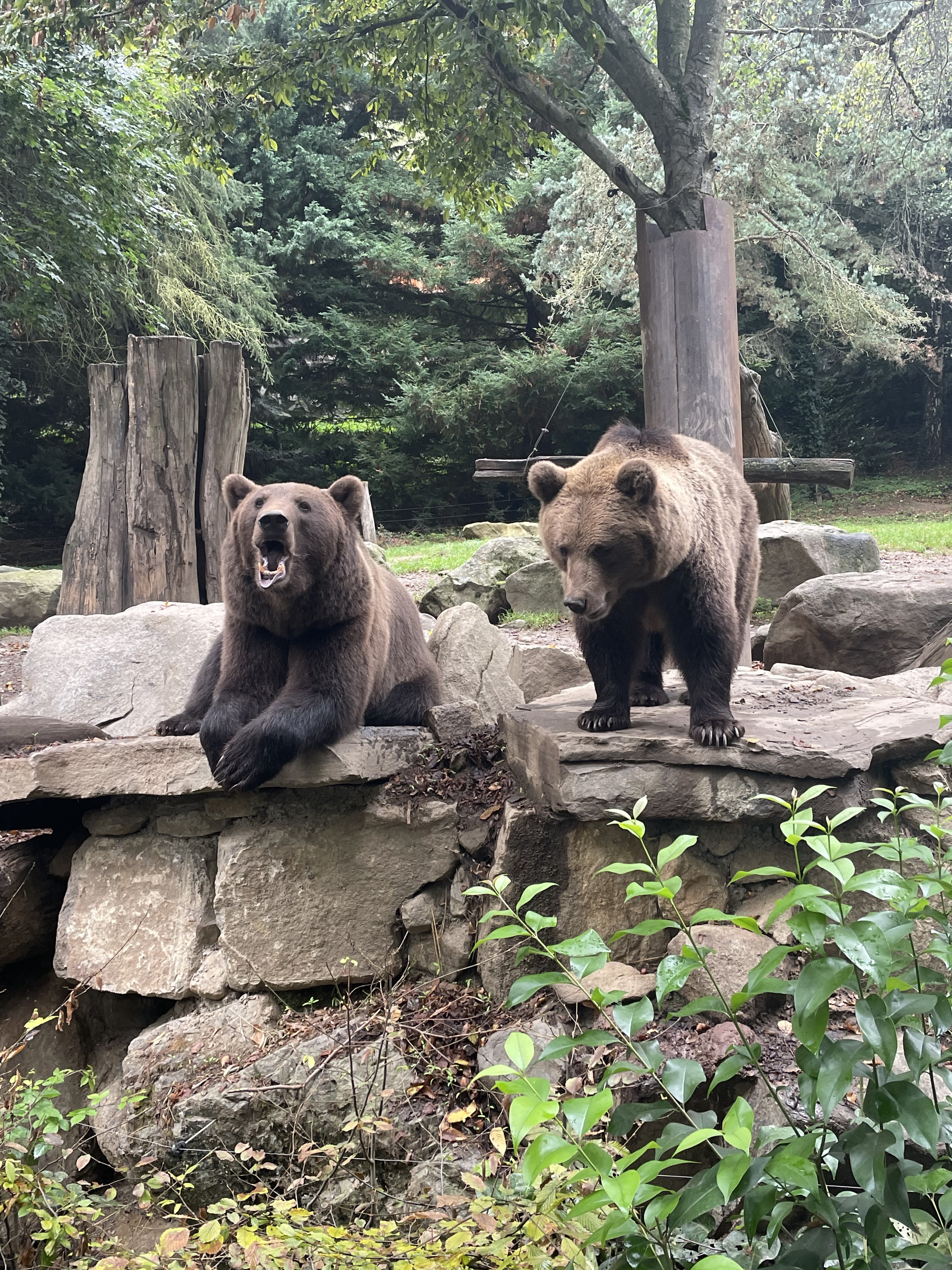 Photo n° 2 de l'avis de Arthur.e fait le 12/09/2023 à 17:48