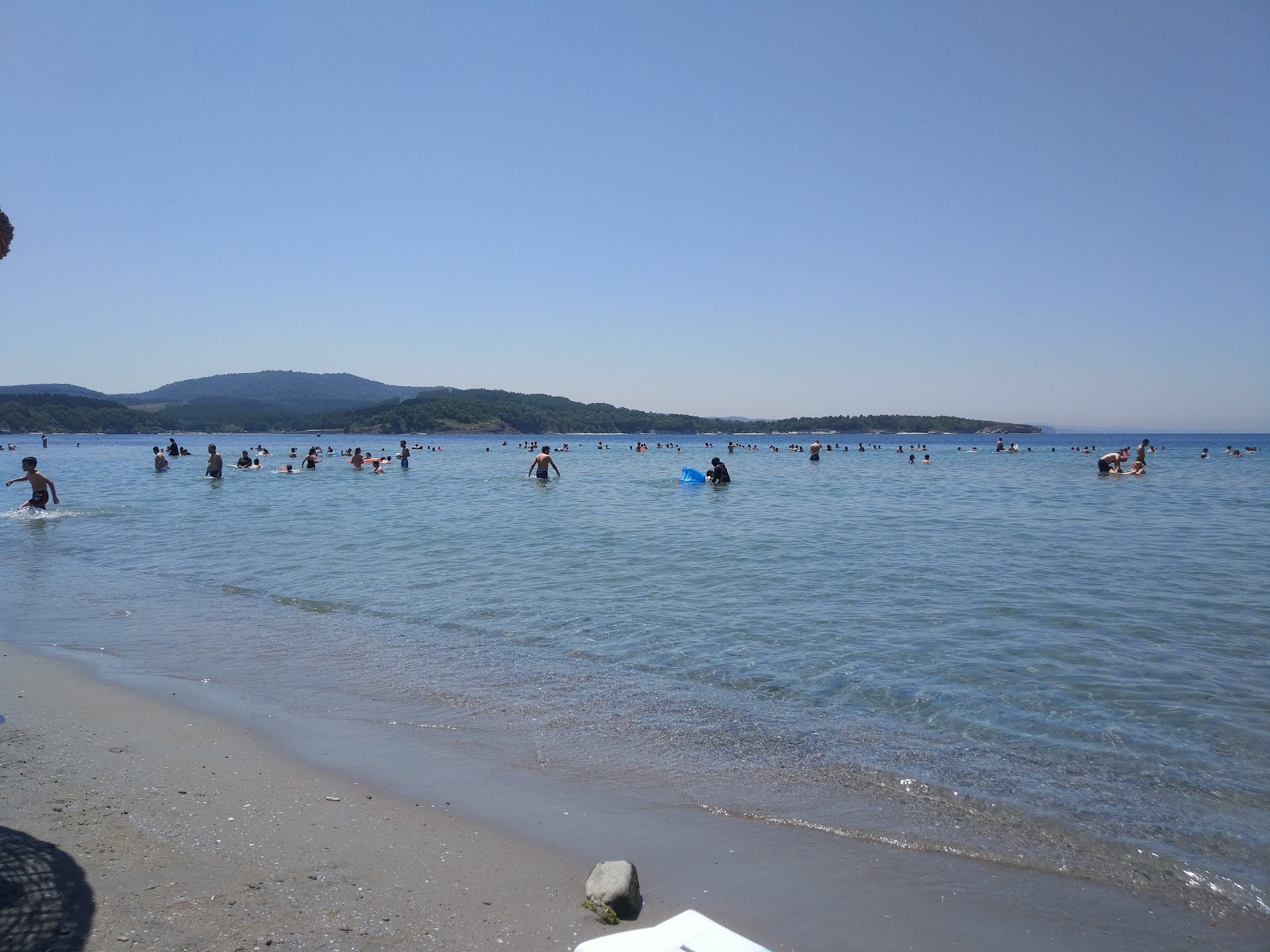 Φωτογραφία του Kerpe Plaji με επίπεδο καθαριότητας πολύ καθαρό