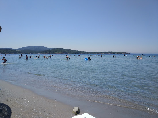Kerpe Plajı