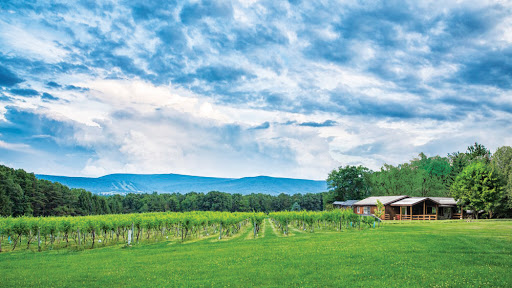 Winery «Mt. Nittany Vineyard and Winery», reviews and photos, 300 Houser Rd, Centre Hall, PA 16828, USA