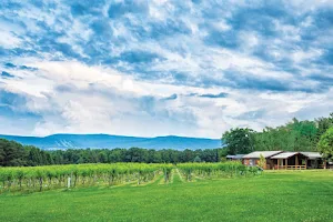 Mount Nittany Vineyard and Winery image