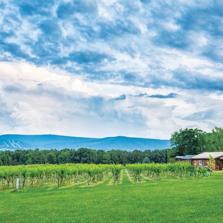 Mount Nittany Vineyard and Winery