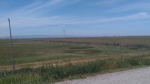 Liberty Farms Recreation Area - photo 8