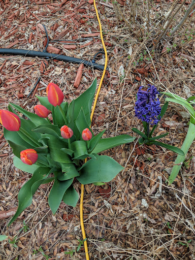 Coffee Shop «Global Goods & Coffee Shop», reviews and photos, 5613 Olde Wadsworth Blvd, Arvada, CO 80002, USA