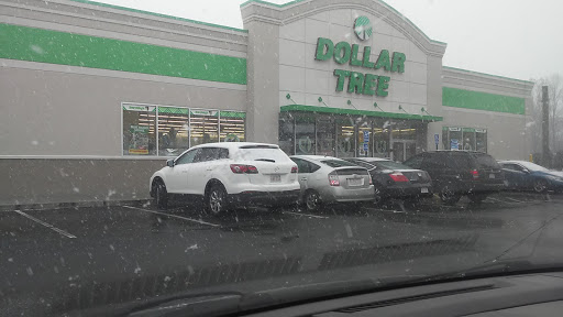Dollar Store «Dollar Tree», reviews and photos, 383 Allen St, Springfield, MA 01118, USA