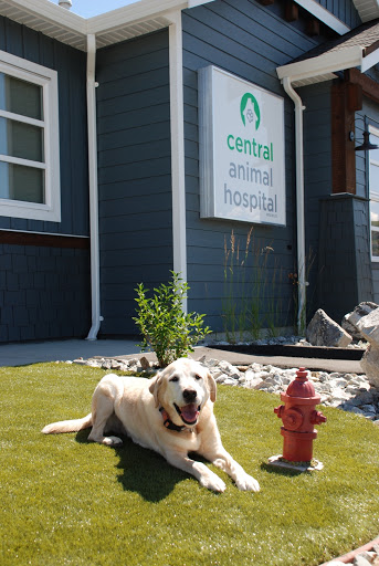 Central Animal Hospital image