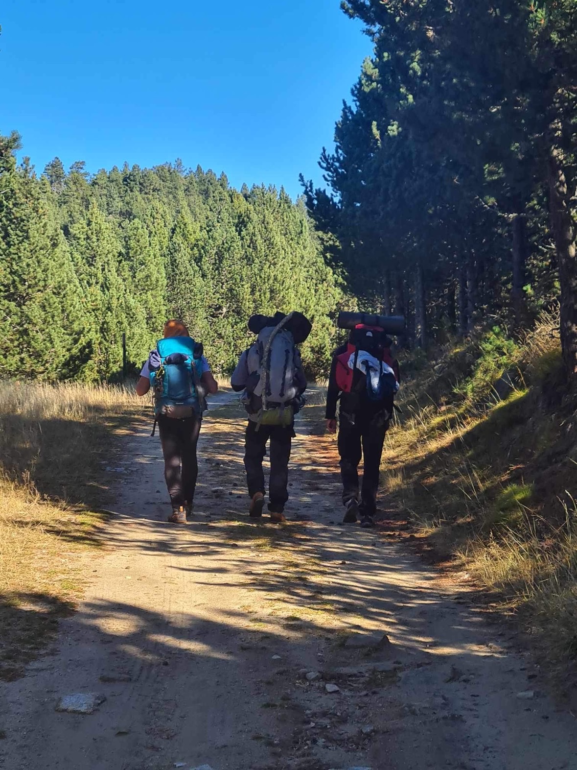 Photo n° 2 de l'avis de Sébastien.a fait le 01/11/2023 à 18:29