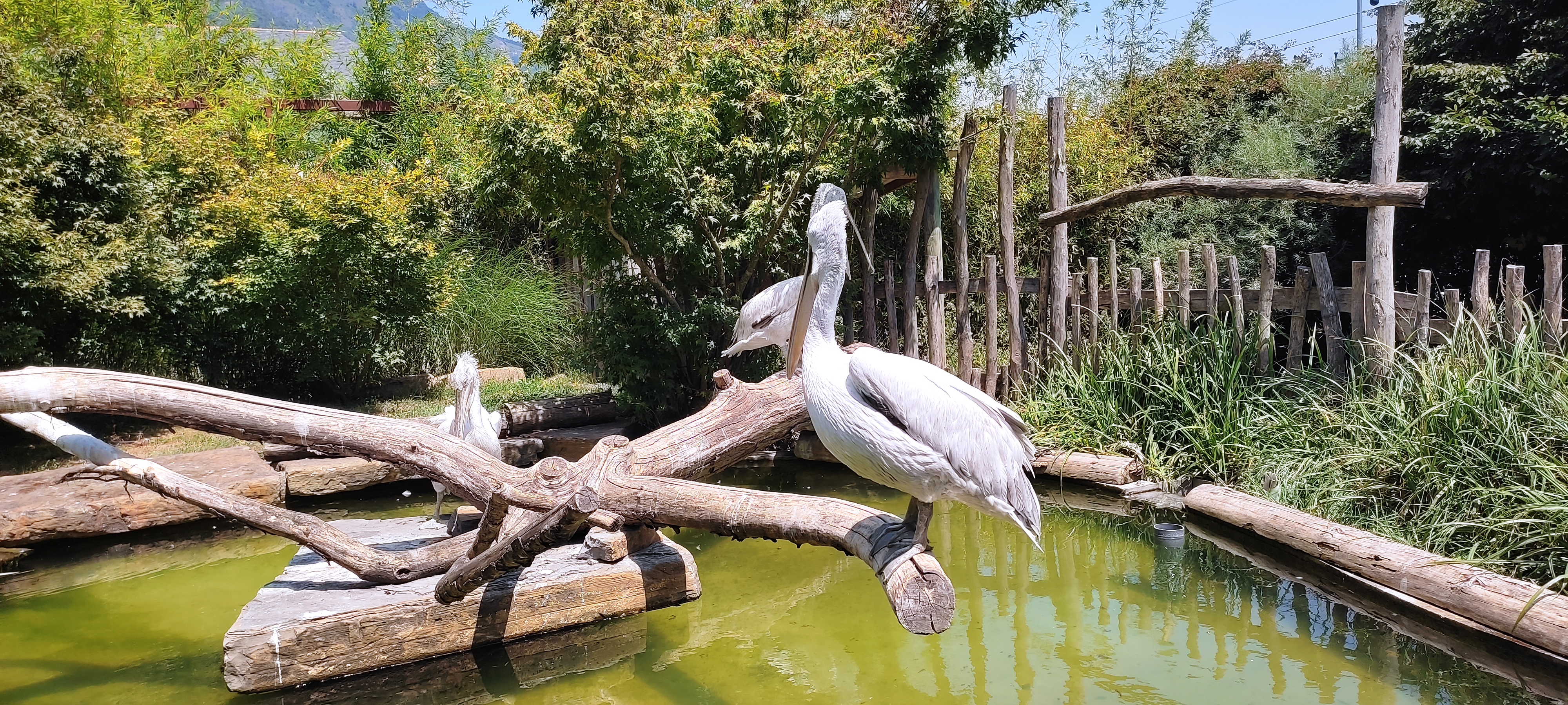 Photo n° 13 de l'avis de albane16.c fait le 16/07/2022 à 20:11