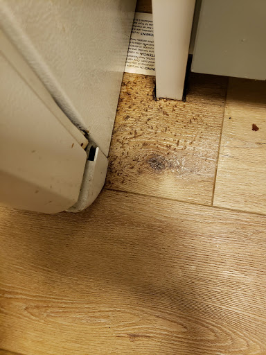 House Cleaning Service «A Perfect Shine Cleaning», reviews and photos, 6442 University Ave, San Diego, CA 92115, USA