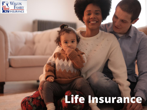 Insurance Agency «Wilcox Family Insurance Company», reviews and photos