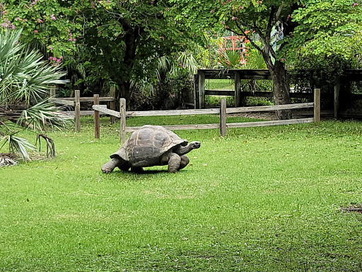 Zoo «Zoo Miami», reviews and photos, 12400 SW 152nd St, Miami, FL 33177, USA